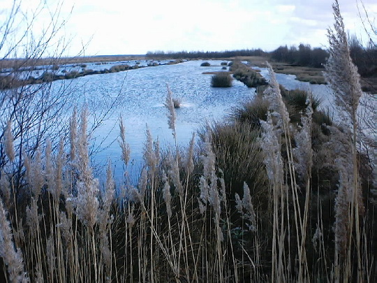 Thorne Moors: Thorne Moors